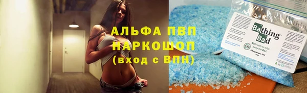 мдпв Бородино