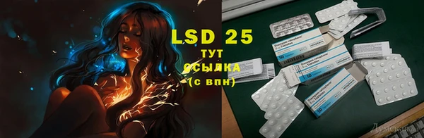 бошки Верея