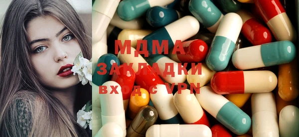 мдпв Бородино